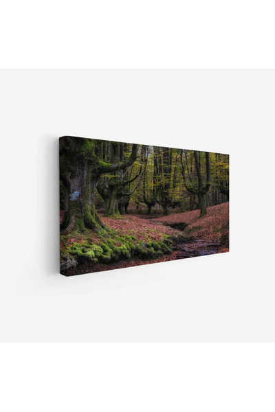 Tajridhome لوحة غابات - أشجار خضراء - أرضية مغطاة بالأوراق - هادئ - لوحات طبي...