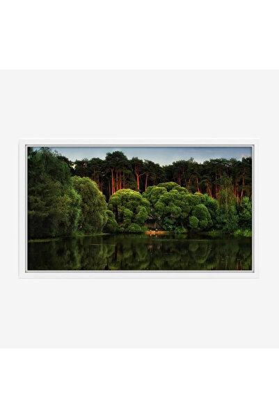 Tajridhome لوحة غابات - أشجار خضراء - مياه هادئة - هادئ - لوحات طبيعة - لوحات...