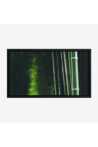 Tajridhome لوحة غابات - أعمدة خيزران - ألوان خضراء - هادئ - لوحات طبيعة - لوح...