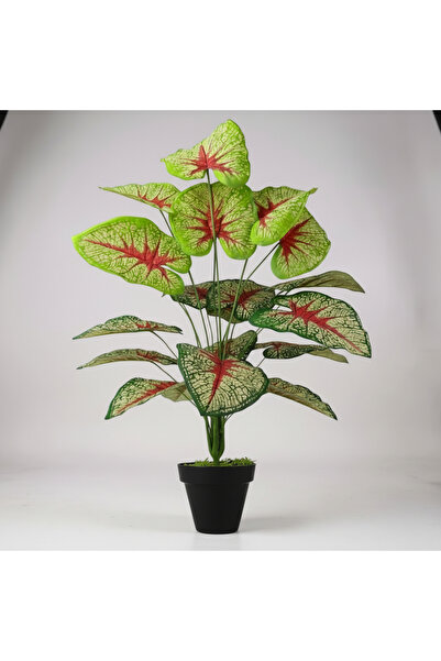 florayapaycicekcom Lüks Tropik Kızıl Caladium 18 Dal 90 Cm Salon Çiçeği Yapay...