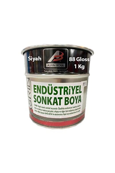 ASRIN Rapid Endüstriyel Boya Siyah 1 Kg