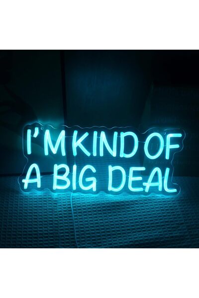 Slasa لافتة نيون "أنا شخص مهم نوعًا ما" مقاس 42 × 18 سم، مزودة بإضاءة LED، لت...