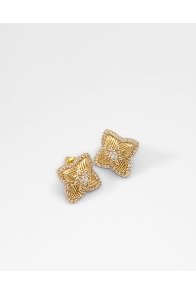 Aldo مقدم الرعاية