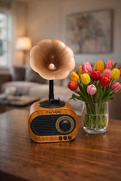 NOSTALJİ RADYO İTALYANO KA-799 Gramofon Tasarımlı Nostaljik Radyo Bluetooth H...