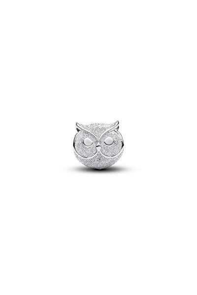 Pandora Dokulu Baykuş Mini Charm
