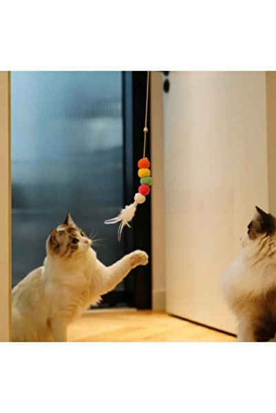 VitaBuddy Elastik Kendinden Yapışkanlı Kedi Oyun Oltası Yapışkanlı Kedi Eğiti...
