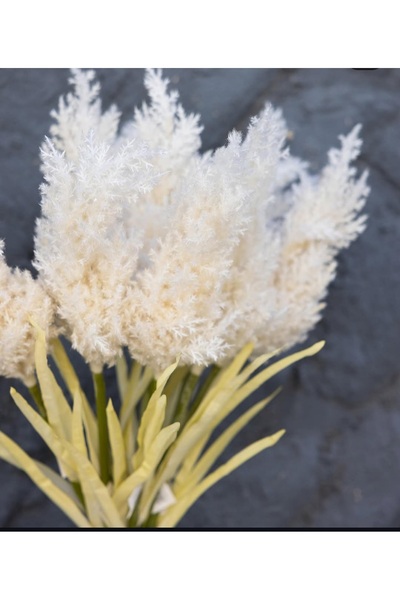 zepce design Yapay Çiçek Pamuklu Pampas