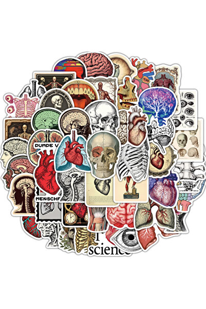 Choice ٥٠ قطعة من ملصقات التشريح العلمي القديمة، مناسبة للأمتعة، أجهزة الكمبي...