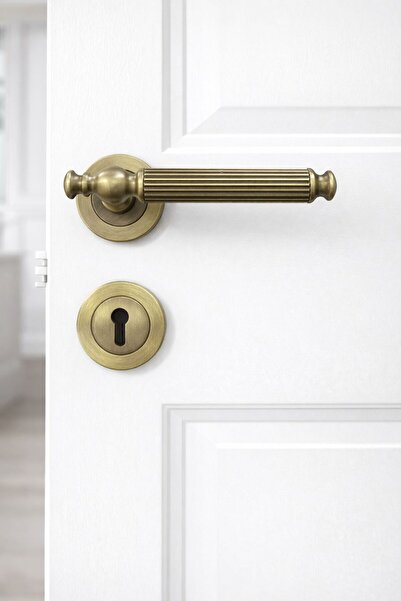 ARON Hanedan Handle Matte Antique Yellow (Room Type) Door Handle Aluminum