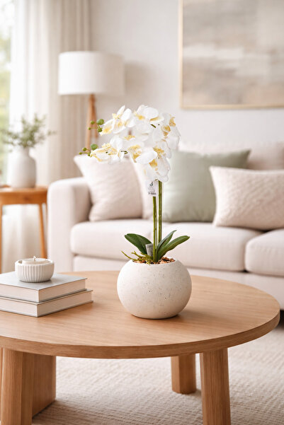 SADANHOME شتله ورد اوركيد 2 فرع حوض بلاستيك 60سم