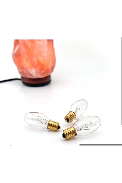 End TUZ LAMBASI AMPUL 10 WATT E14 DUY 3 ADET