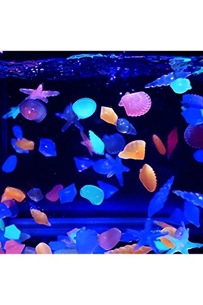 ZN Boutique Akvaryum Süsleme Taşı Renkli Deniz Kabuğu Ve Yıldızı Seti - 5 Adet