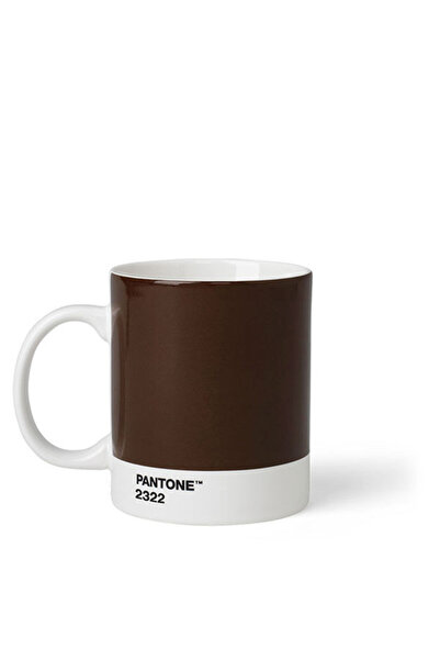 Pantone Vibrant Hue Mug – Brown