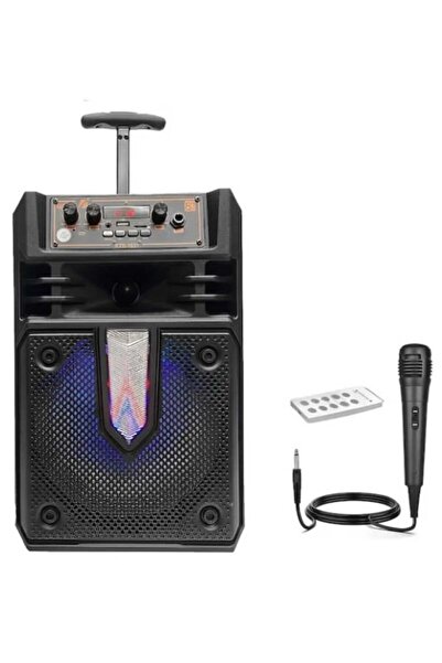 KTS Portable trolley speaker KTS1631, BT, USB, 30W