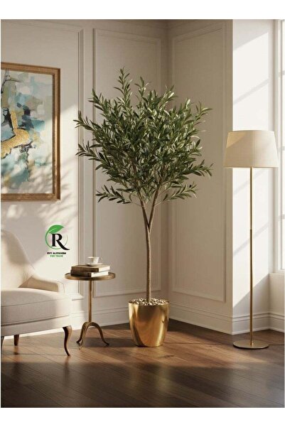 BYT ALRWASM FOR TRADE Fruitful Olive Tree with Shiny Golden Pot