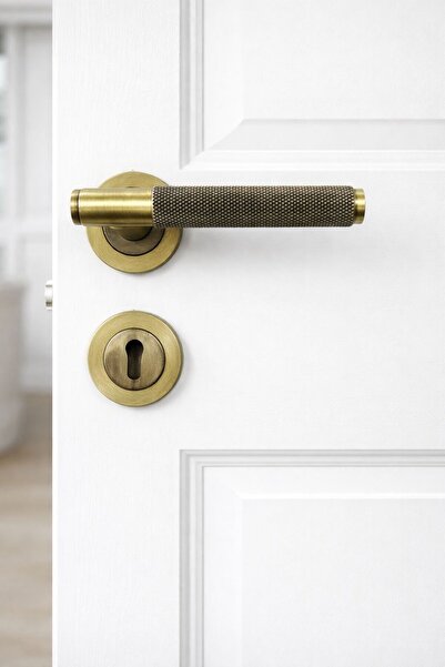 ARON Eda Handle (Matte Antique Yellow) Room Type Door Handle Aluminum