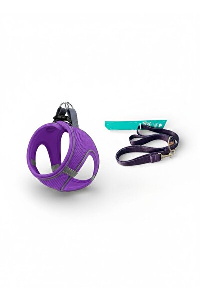 Mita طقم من قطعتين من شبكة الهواء: طوق للقطط والكلاب + حزام/طوق للمشي للكلاب ...