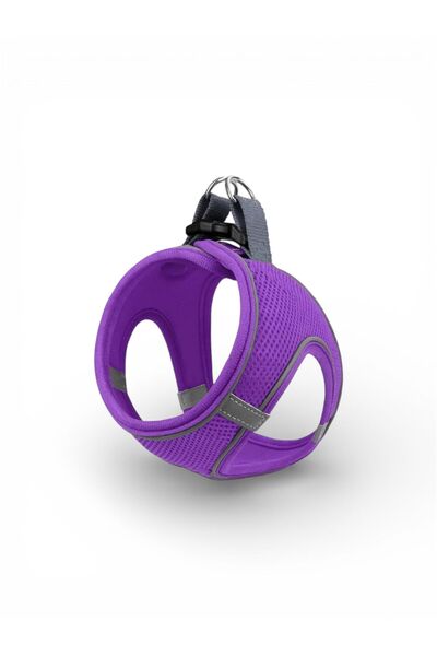 Mita Air Mesh 2-Piece Bundle Set Cat Dog Chest Collar + Dog Walking Collar/Le...