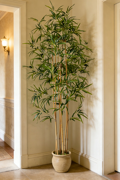 dida-cosmos 180cm Bamboo Artificial For Living Room, Balcony, Corridor, And Interior Decoration