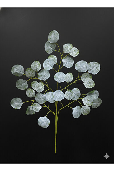 çiçek rengi dekor زهرة نقود بيضاء صناعية 6 قطع