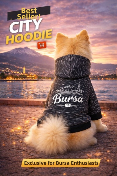 PetiliDünya سلسلة سيتي سيريز، قبعة على شكل كلب، قبعة على شكل قطة، سلسلة سيتي ...