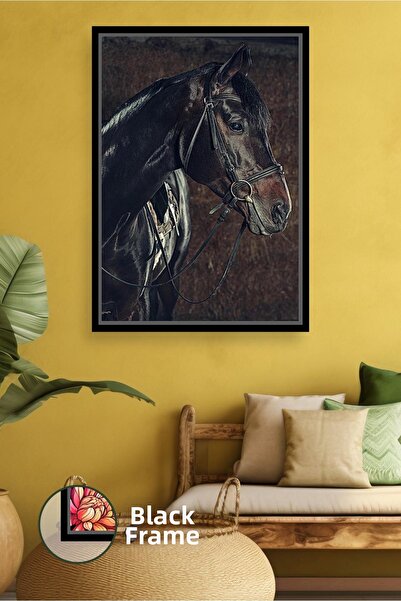 KOSS Dijital Εικόνα ευγενούς μαύρου αλόγου Πορτρέτο ζώων με βαθιά ματιά Κλασι...