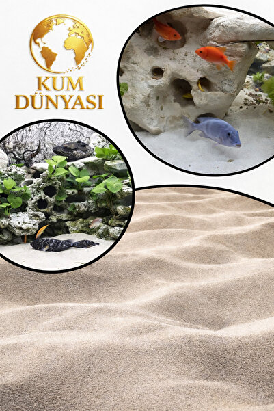 LORIUS 2,5 Kg Akvaryum Kumu Sarı Silis Kum 0.50/0.60mm