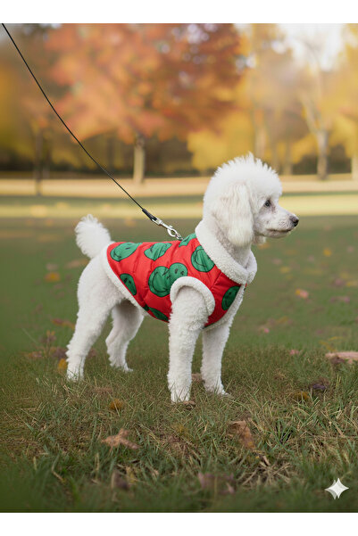 PATİLİNKA Kedi - Köpek Kışlık İçi Peluş Şişme Yelek - Mont - Kıyafet -Sweat