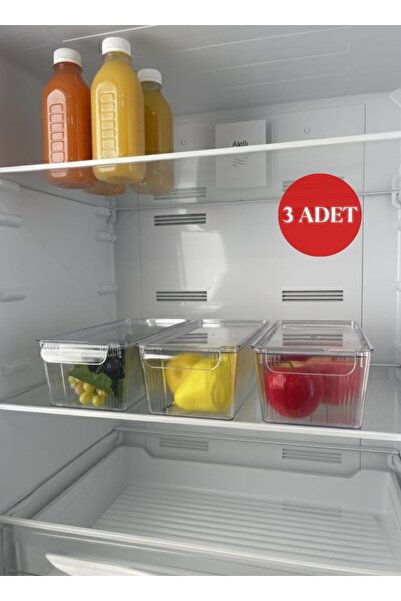 Okyanus Home 3 Pieces Midi Refrigerator Organizer and Storage Container with ...