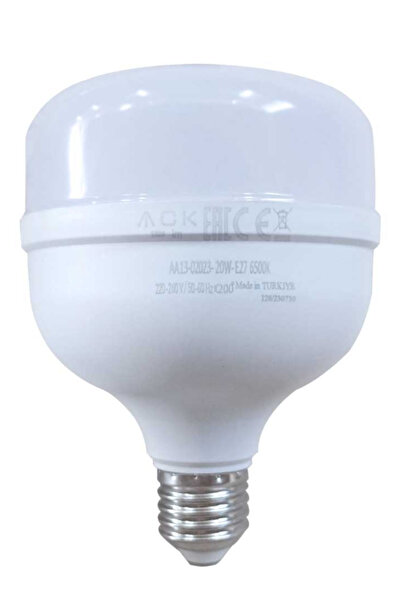 ACK 20W 220-240V E27 6500K DOB T100 LED AMPUL