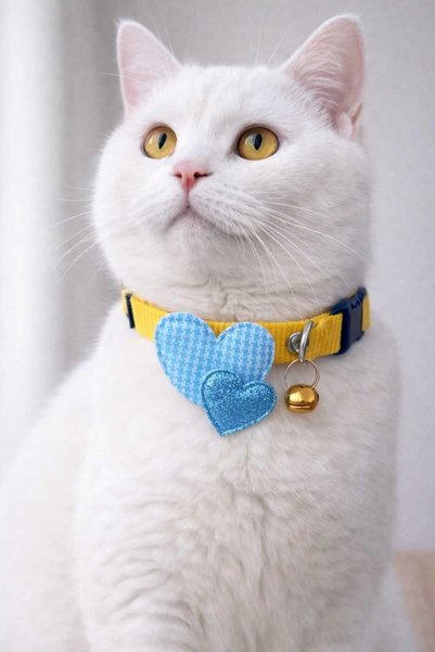 MIT Valentine's Day Special Double Bell Heart Cat Collar