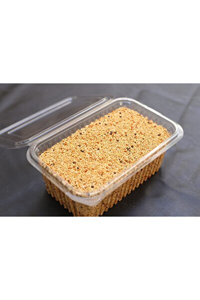 AlaPet Tertemiz Konuşturucu Kuş Yemi (Papağan Yemi) Muhabbet Kuşu Yemi (1KG)