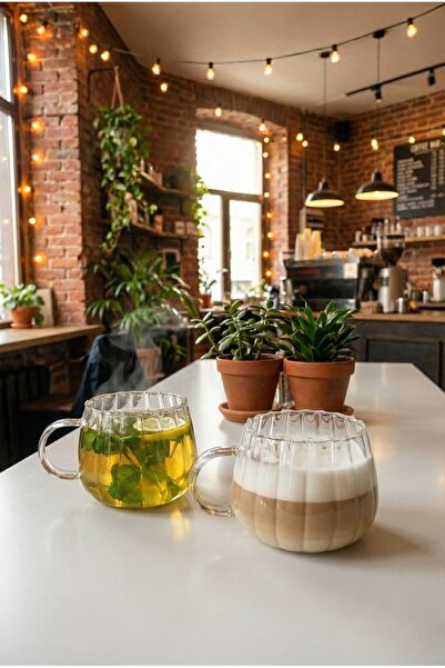 KÜÇÜK EW 2 Adet Isıya Dayanıklı Borosilikat Termisil Kupa Çizgi Tasarımlı Cam...