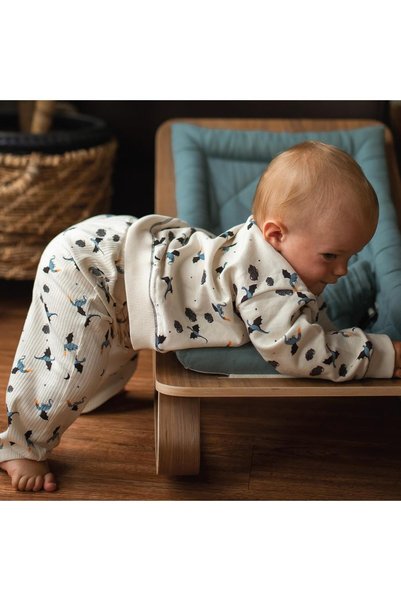 Antebies Organic, Beige, Dragon Patterned, Elastic Waist, Lace-Up Baby Boy Tracksuit