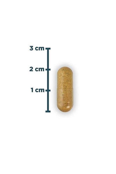 Nature's Supreme Multivitamin for Men 60 Kapsül
