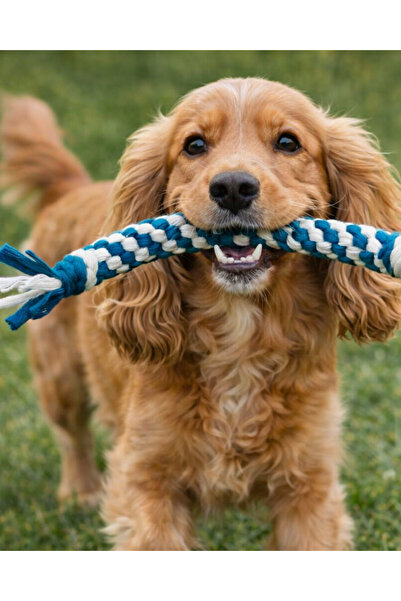 Tüylü Tezgah Köpek Oyun Halatı Köpek Diş Kaşıma Ipi Köpek Oyuncağı Köpek Eğit...