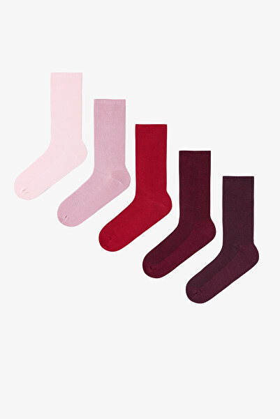 Penti 5 Pairs of Cotton Ribbed Colorful Socks
