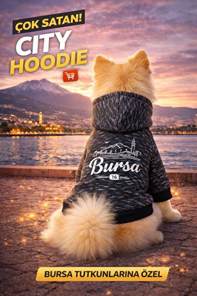 PetiliDünya Şehir serisi şapkalı köpek sweat kedi sweat şardonlu city serisi