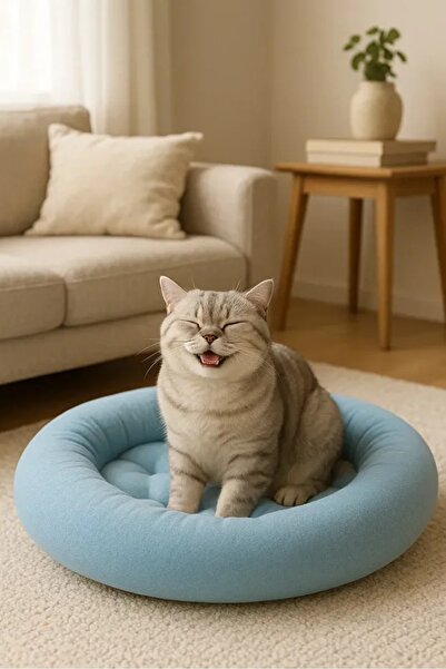 Ponchik Peluş Kedi Köpek Yatağı Mavi Simit Kedi