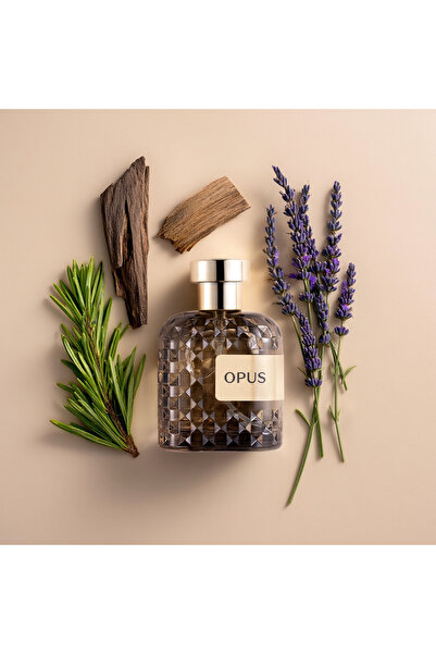 Mad Parfüm Opus 100 ml Erkek Parfüm | Oriental . Odunsu . Sofistike