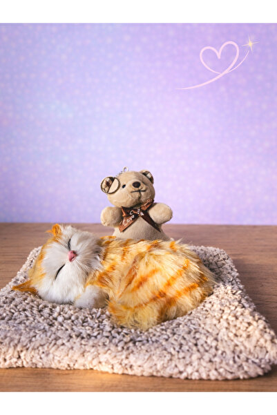 Rüya Kıyısı Kişiye Özel Sevimli Uyuyan Miyavlayan Peluş Kedi Ve Ayıcık Anahta...