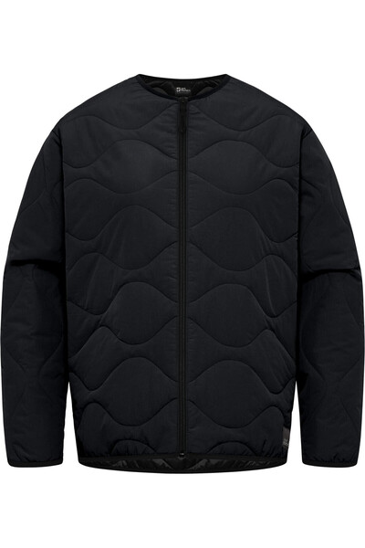 Jack Wolfskin A60173-6502 Wandersome Ins W Women's Oudoor Coat