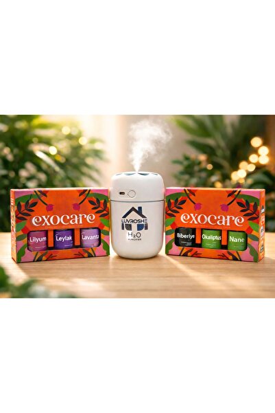 air humidifier + fragrance gift