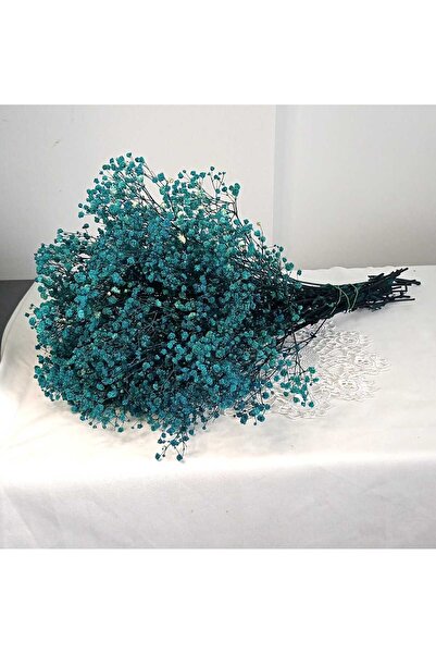 Birlik Cipso Çiçeği Şoklanmış Mavi