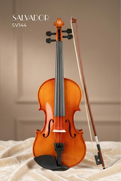SALVADOR Sv144 4/4 Profesyonel Keman