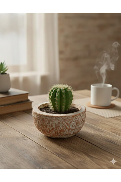Home Antik Desenli Saksı