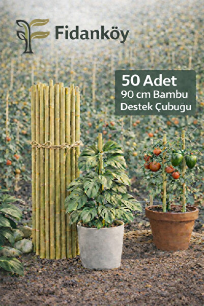 FİDANKÖY BAMBU ÇUBUK BAHÇE / SAKSI DESTEK ÇUBUĞU 50 ADET 90 CM