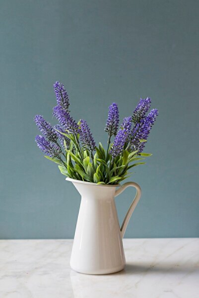 Arma House 1 قطعة زهرة نيميسيا أرجوانية (غير دائمة).