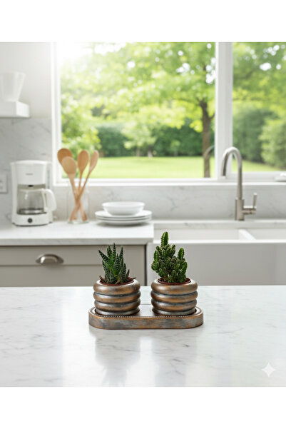 Home 3'lü Desenli Sukulent ve Kaktüs Saksı Seti