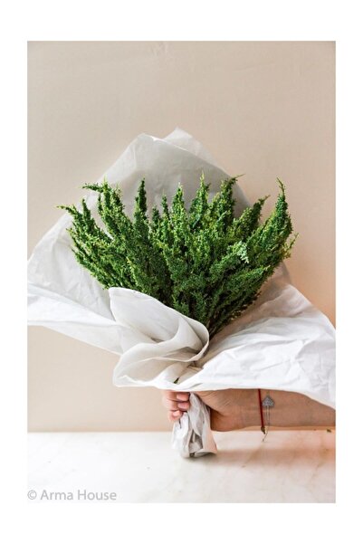Arma House 5 باقة دوسيت دارام زهرة صناعية خضراء